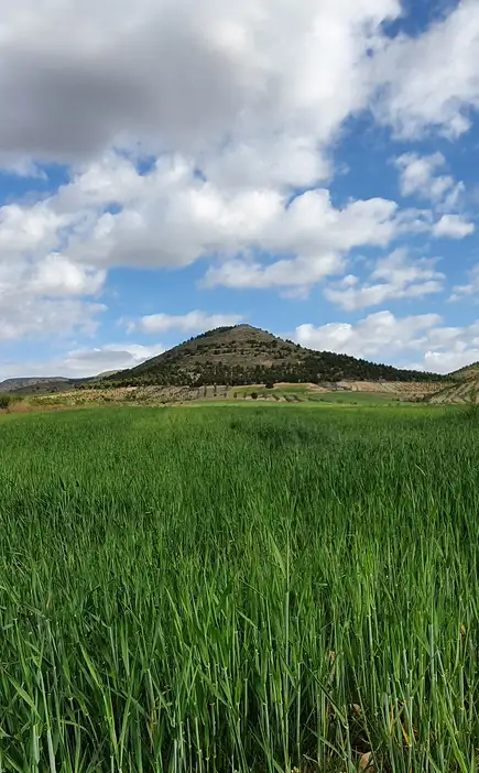 Beau paysage à Almería